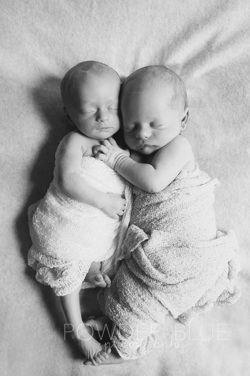black and white photo of newborn twins